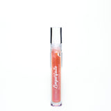 Gloss pâte a biscuit